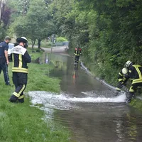 w1.jpg