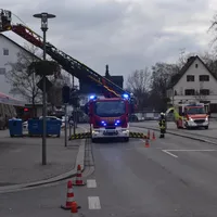 brandh2.jpg