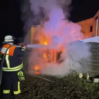 silvester2.jpg