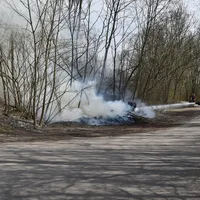 brandsee.jpg