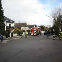 rauch.jpg